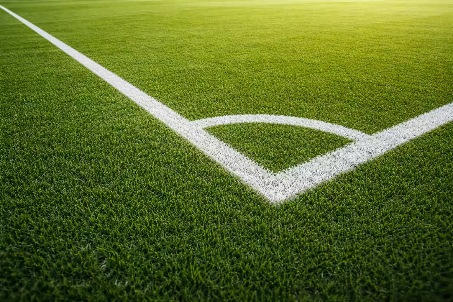 Gepflegtes Fußballfeld mit klar sichtbaren weißen Linienmarkierungen